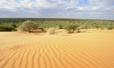 Paisagem do Deserto do Kalahari, em um ponto no norte da África do Sul